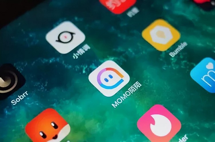 探探没有小姐姐